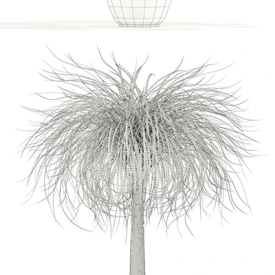 Plants collection 103 — Ver 2