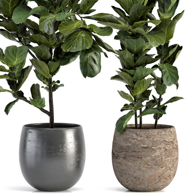 Collection of plants-006 — Скачать