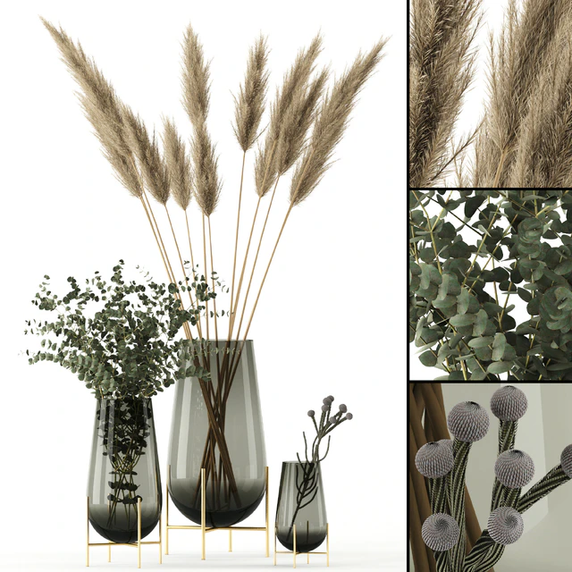 Plants in Echasse Vases — Descargar