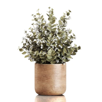 Plants Bouquet 02 — Ver 1