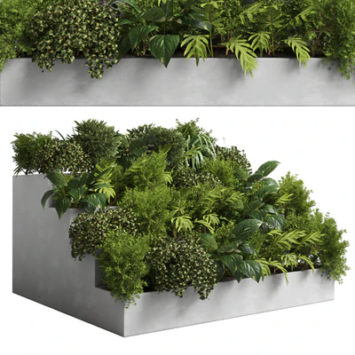 collection outdoor plant 22 - stairs concrete vase — Вид 1
