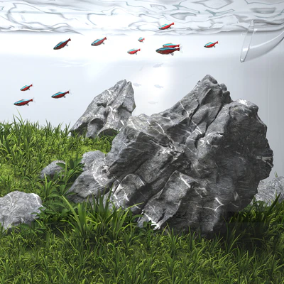 Aquascape aquarium Iwagumi — Вид 4