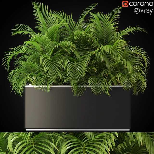 Plants collection 267 — Descargar