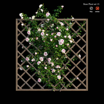 Rose plant set 15 — Вид 3