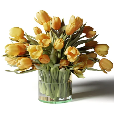 Yellow, red and white tulips in glass vases — Ver 4