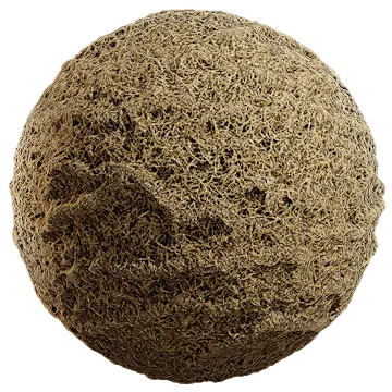 grass dried 020 — Скачать