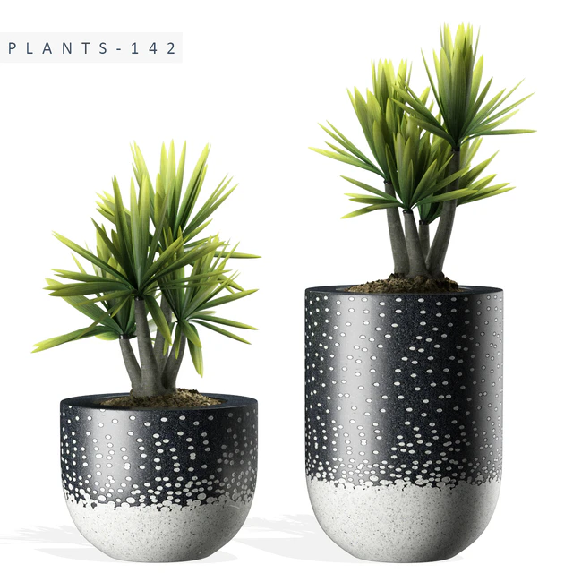 PLANTS 142 — Descargar