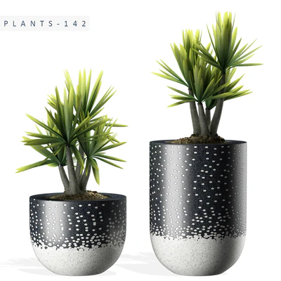 PLANTS 142 — Descargar