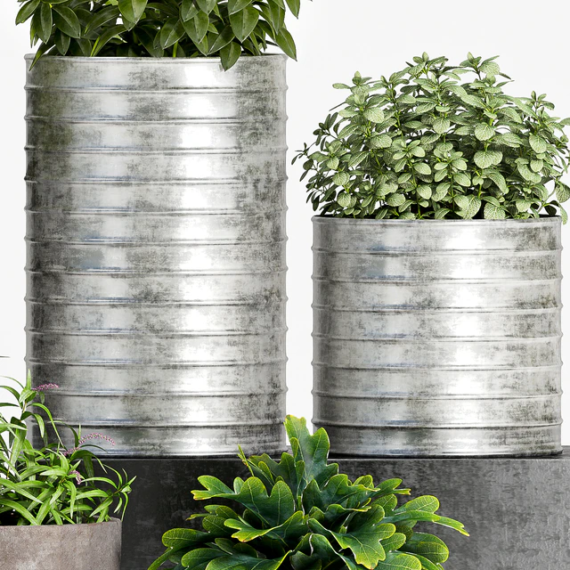 PLANT SET -83 — Descargar