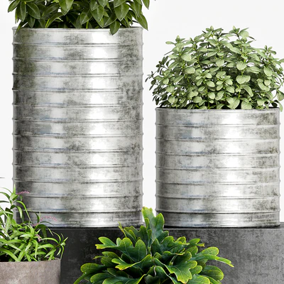 PLANT SET -83 — Ver 2