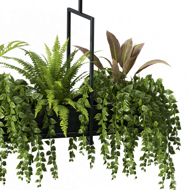 Indoor plant set 05-Hanging plants — Descargar