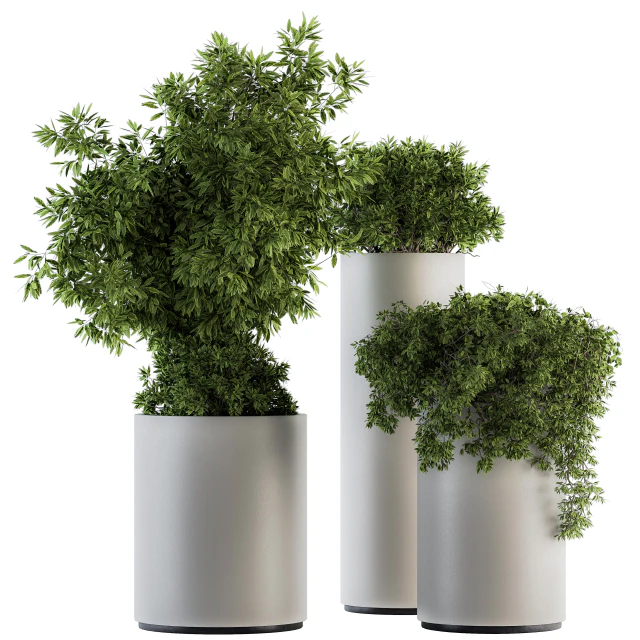 indoor Plant Set 120 - Green and White Set — Скачать