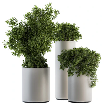 indoor Plant Set 120 - Green and White Set — Вид 1