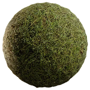 uncut grass 021 — Descargar