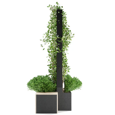 Collection plant vol 16 — Ver 5