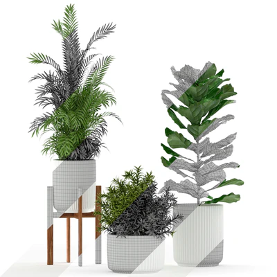 Plants collection 194 — Вид 2