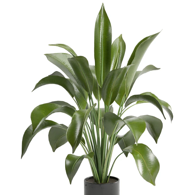 Indoor Plants in Ferm Living Bau Pot Large - Set 136 — Скачать
