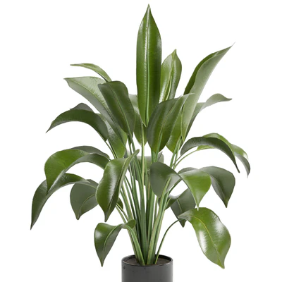 Indoor Plants in Ferm Living Bau Pot Large - Set 136 — Вид 4