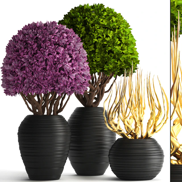 Collection of plants 129. Boxwood, topiary, topiary, decorative vases, decor, golden branches — Descargar
