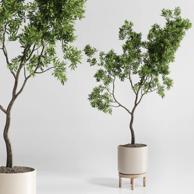 Indoor plant 176 wooden vase plant tree pot — Descargar