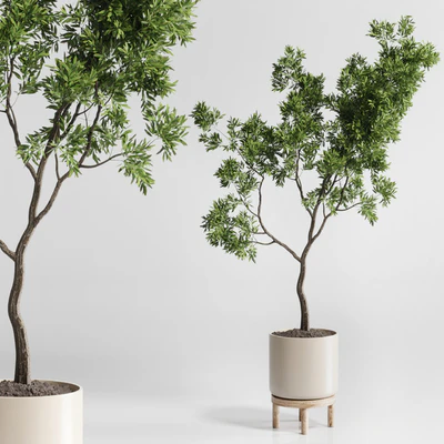 Indoor plant 176 wooden vase plant tree pot — Ver 1