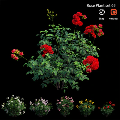 Rose plant set 65 — Ver 6