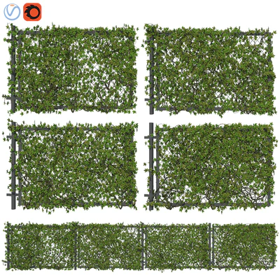 Fence with ivy v2 — View 1