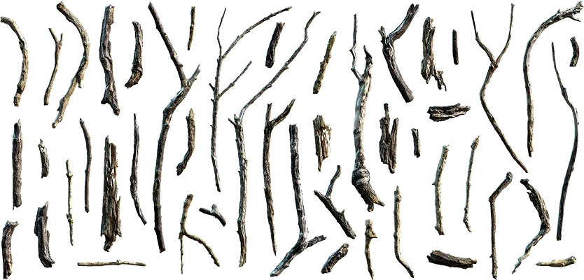 tree debris 028 — Скачать