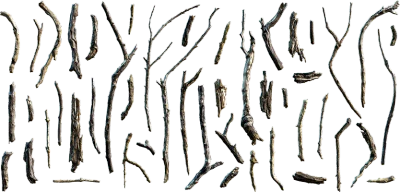 tree debris 028 — Скачать