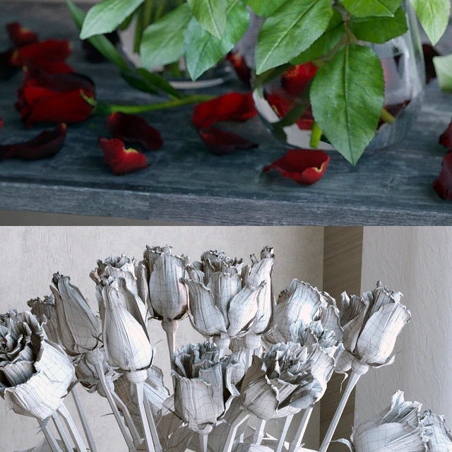 Red and white roses — Descargar