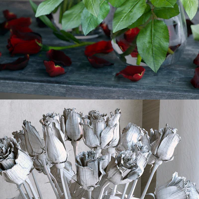 Red and white roses — Ver 3