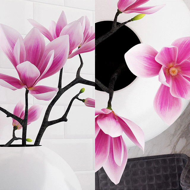 Magnolia Set — Descargar