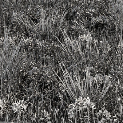 Wild Grass Green - Grass Set 03 — Ver 2
