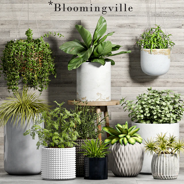 PLANT SET -58 — Descargar