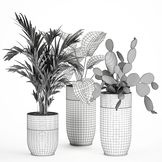 Collection of plants in beautiful Godwin Longhi pots with Palm, Cactus, Calathea lutea, Hovea, Prickly pear . Set 704. — Descargar