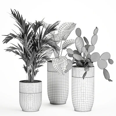 Collection of plants in beautiful Godwin Longhi pots with Palm, Cactus, Calathea lutea, Hovea, Prickly pear . Set 704. — Ver 5