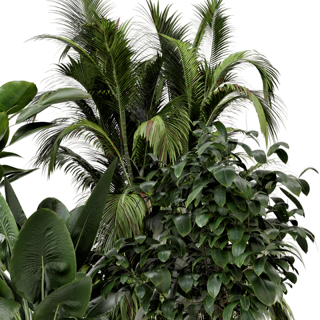 Indoor Plants in Ferm Living Bau Pot Large - Set 290 — Скачать