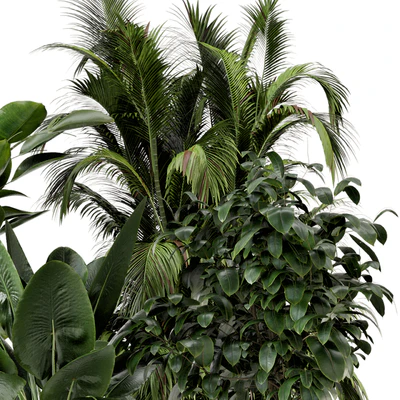 Indoor Plants in Ferm Living Bau Pot Large - Set 290 — Вид 5