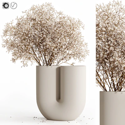 Dry flowers 9 — Ver 1