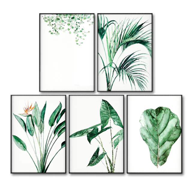 Posters with leaves of tropical plants. — Descargar