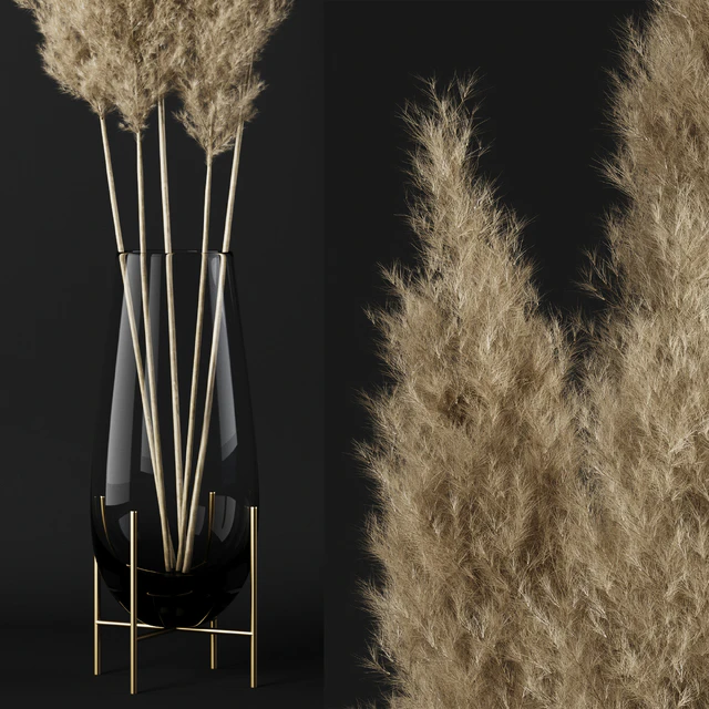 A bunch of pampas — Descargar