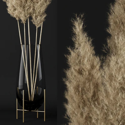 A bunch of pampas — Ver 3