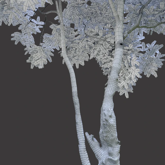 Cherry Tree 2 — Descargar