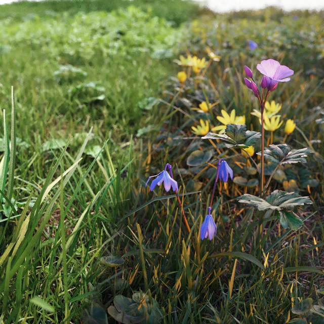 Spring grass set #1 — Descargar