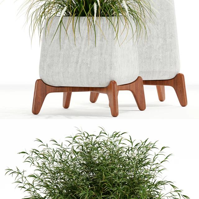 Plants collection 128 indigenus terra — Descargar