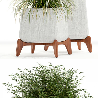 Plants collection 128 indigenus terra — Ver 3