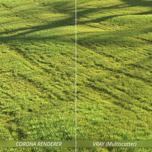 Sunny lawn — Descargar