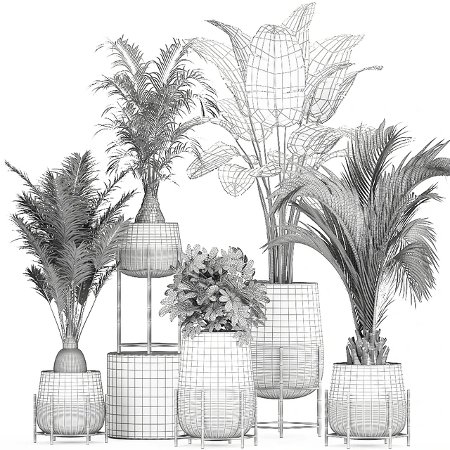 Collection of ornamental plants in rattan baskets with banana palm, howea, Strelitzia. Set 783 — Descargar