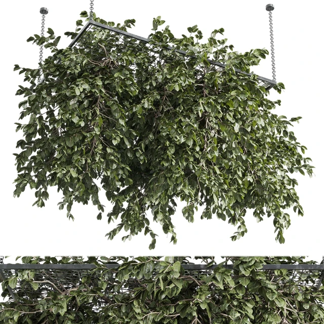 Hanging plants - outdoor plant set 171 — Скачать