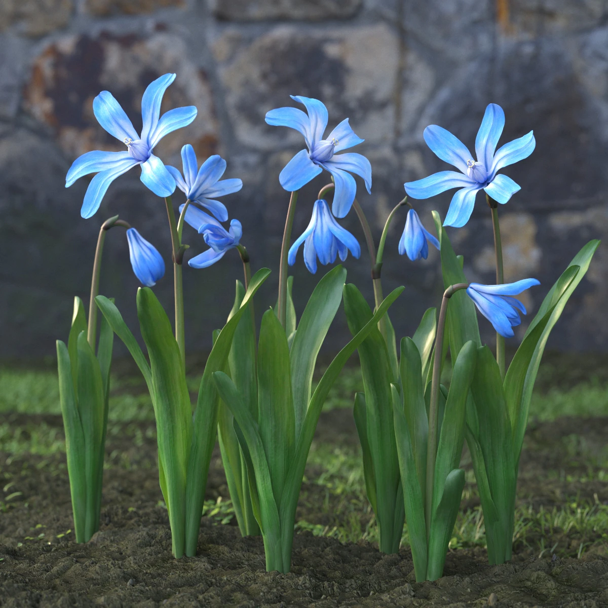 garden flowers 030 — Descargar